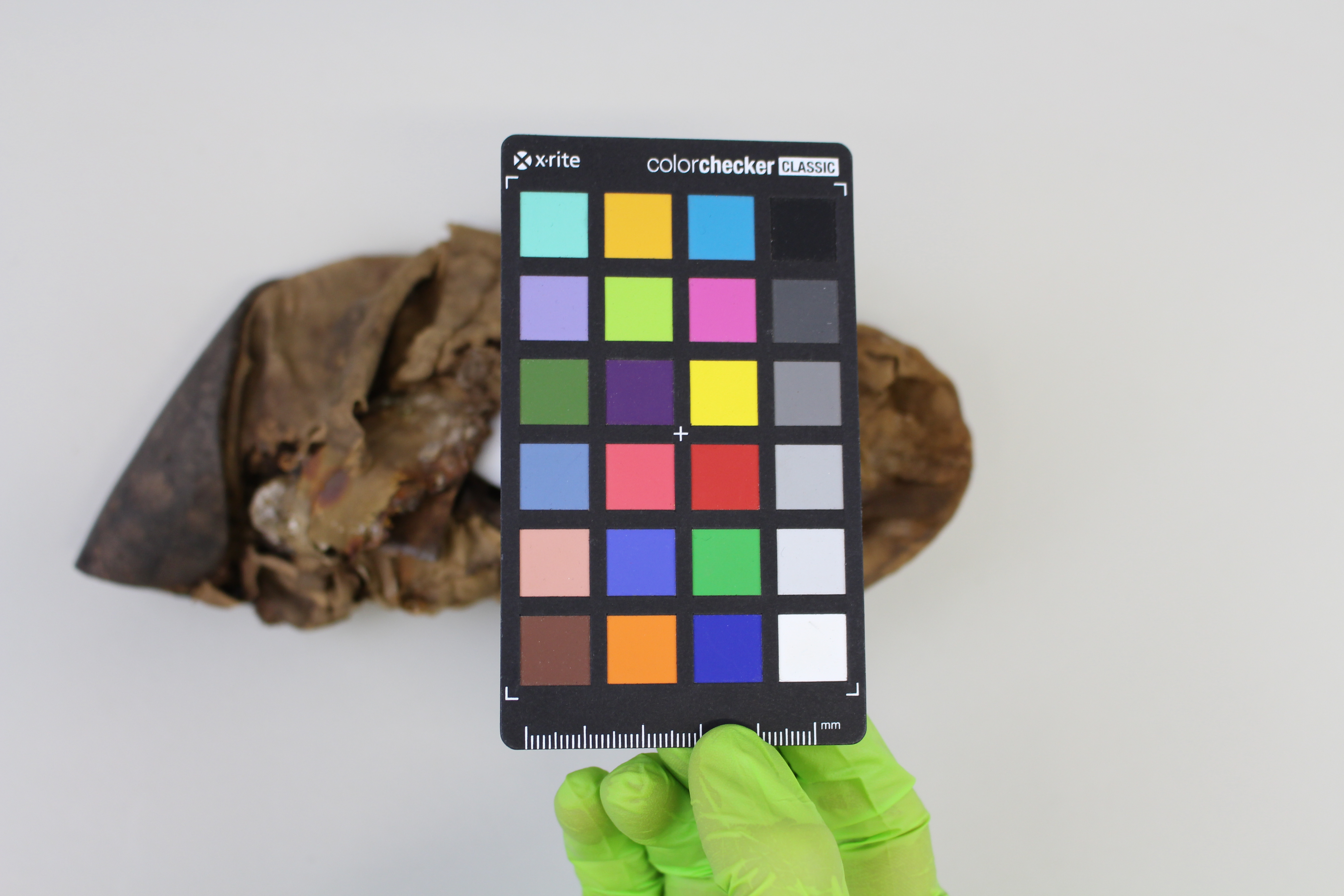 Damenschuh mit Farbpalette