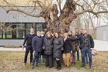 Menschen vor einem Baum 