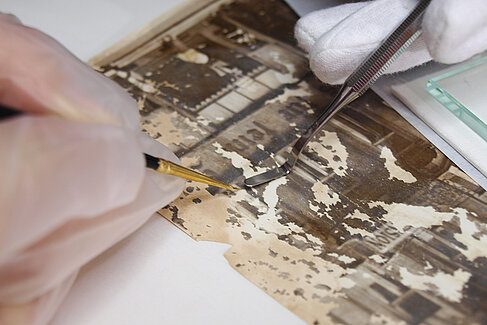 Hände mit Pinzette und Pinsel