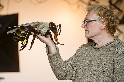 Jörg Stolpmann hält ein Bienenmodell vor sein Gesicht