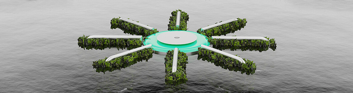 Algensystem im Wasser