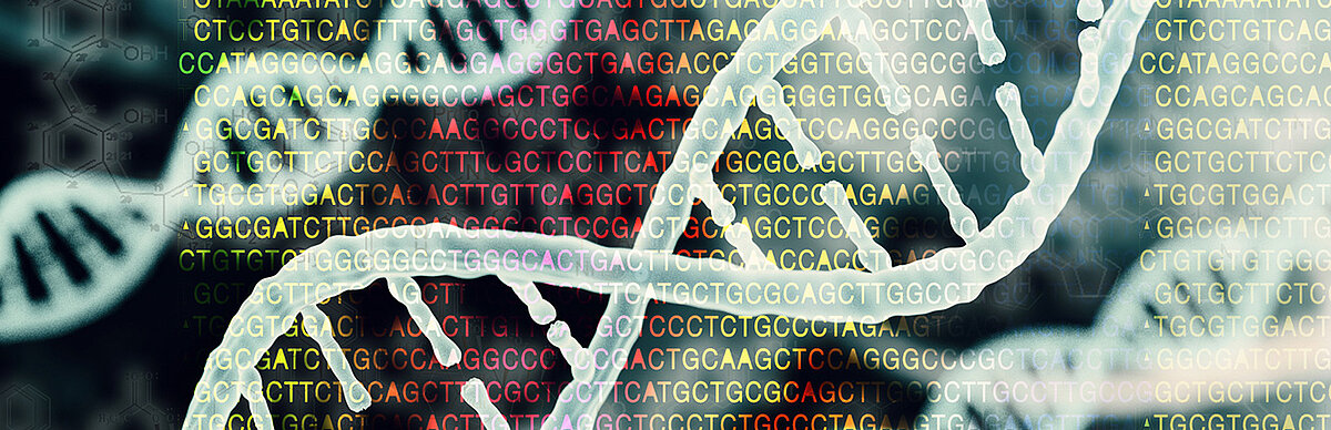 [Translate to Englisch:] Ansicht von DNA und Proteinen