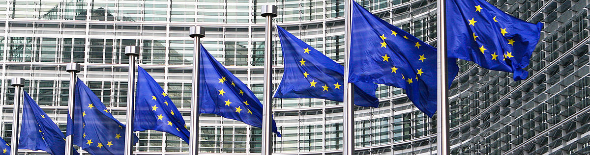 Wehende Flaggen der Europäischen Union