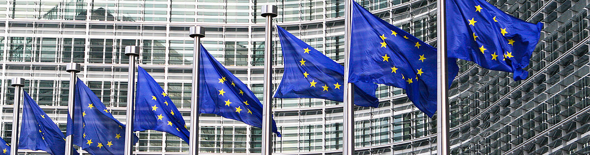 The European Union flag