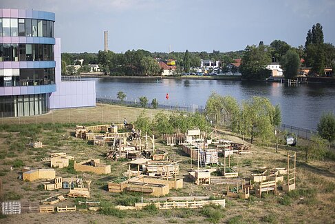 The urban garden from above