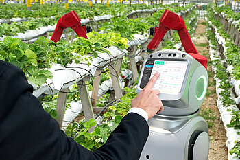 Smart farming in einer Erdbeerplantage: Feuchtigkeit, Lichteinfall und Temperatur werden computergestützt gesteuert.