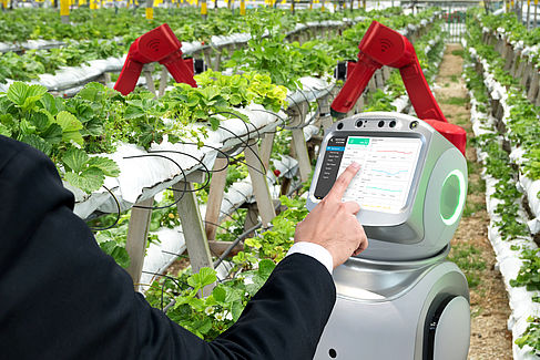 Eine Hand bedient einen Computer in einer Erdbeerplantage.