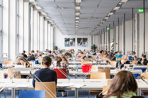 Bibliothek 