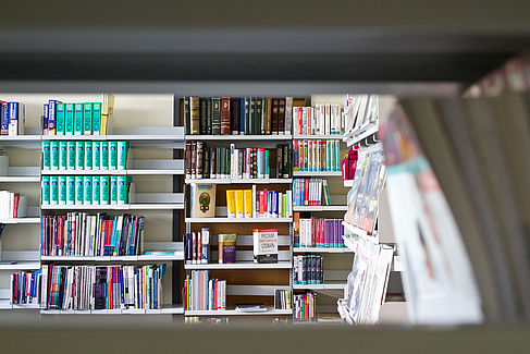 Shelves at library