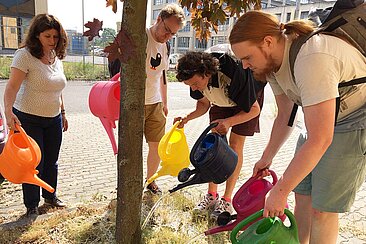 Menschen gießen einen Baum 