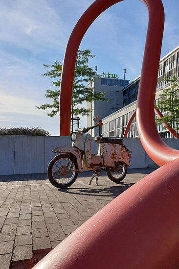 Eine Schwalbe auf dem Campus Wilhelminenhof der HTW Berlin