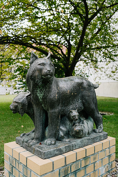 Foto der Skulptur einer Luchsfamilie am Campus Treskowallee