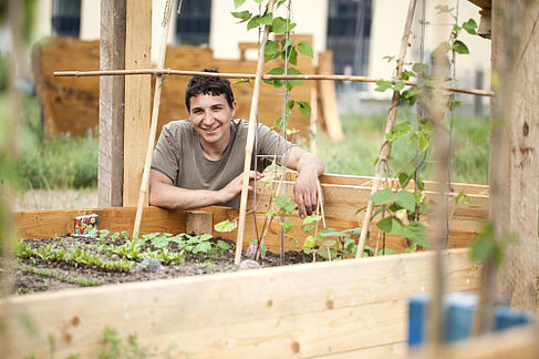 Urban Gardener