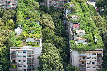Begrünte Gebäude in der chinesischen Stadt Chengdu