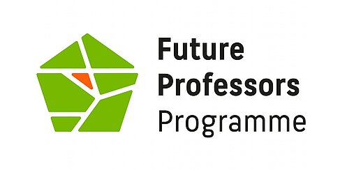 Wort-Bild-Marke Future Professors Programme