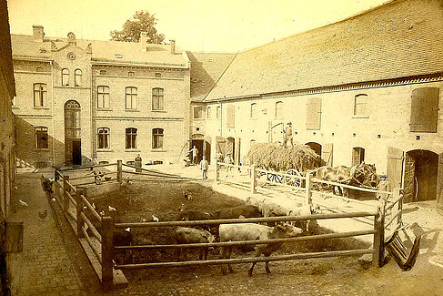 Der Lutherhof um 1900