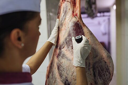 Die Qualitätskontrolle von Fleisch ist wichtig